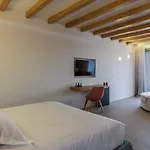 Splendid Mykonos Luxury & Villa *